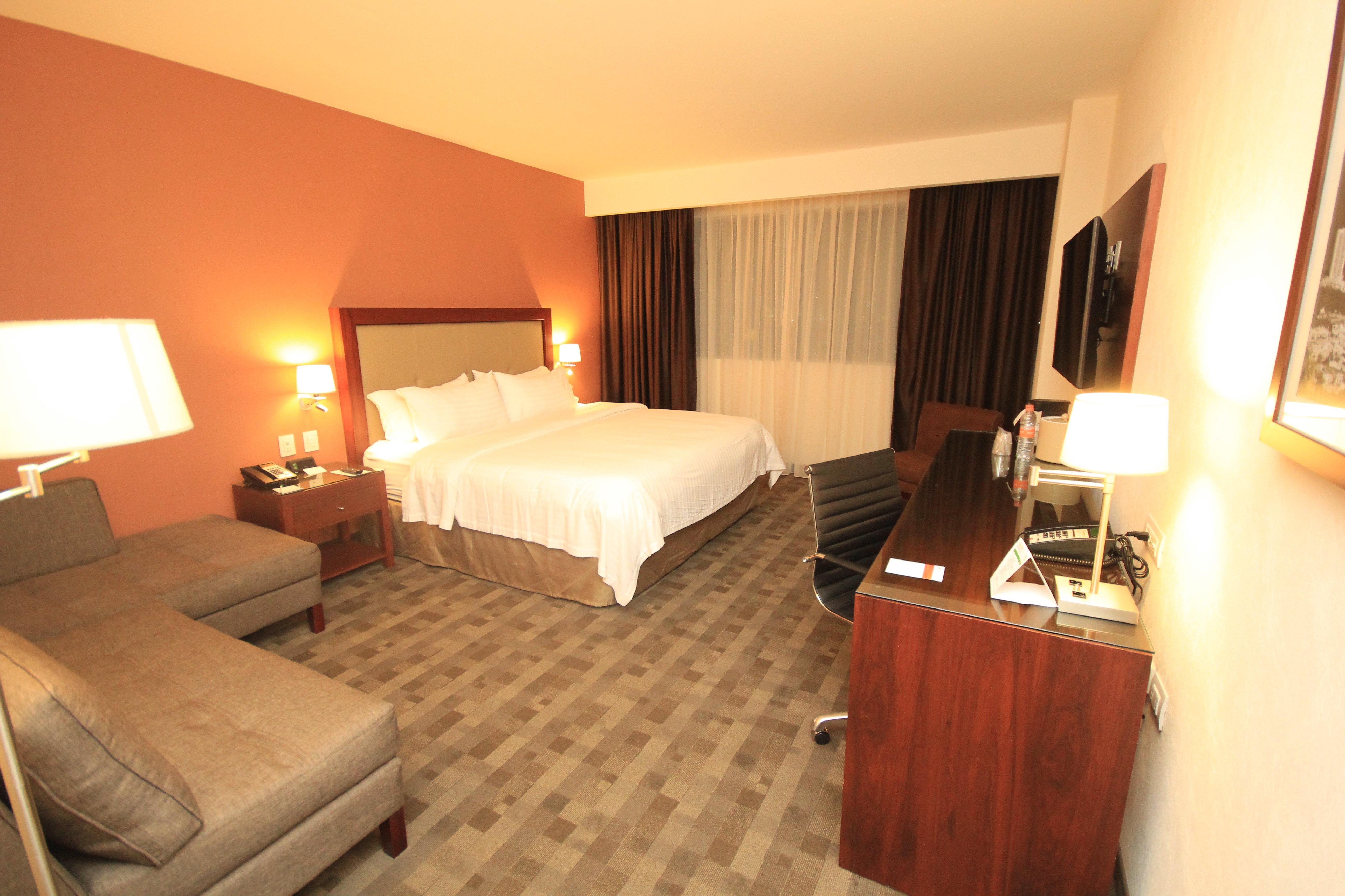 Holiday Inn & Suites Plaza Mayor By Ihg Леон Экстерьер фото