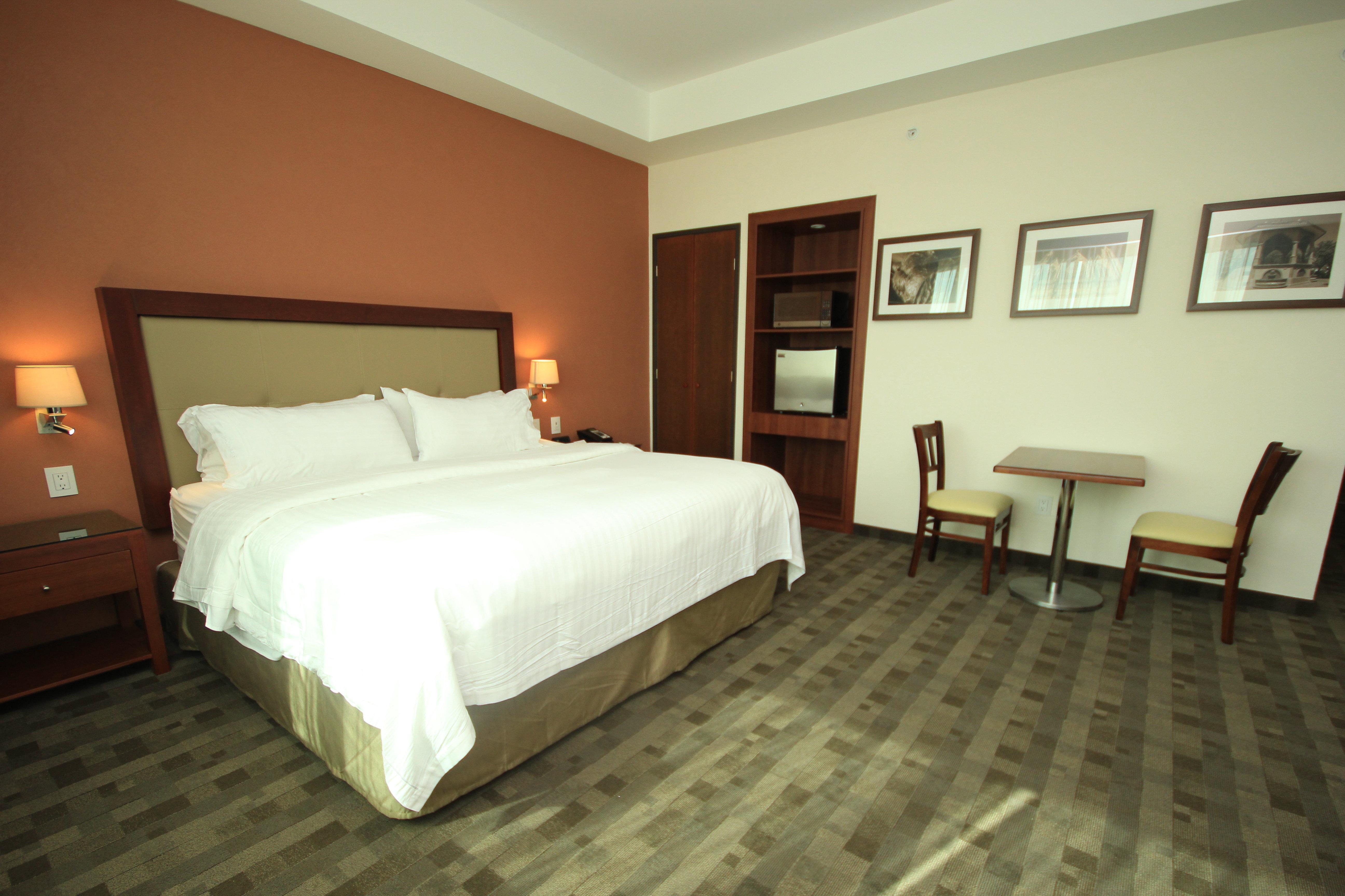 Holiday Inn & Suites Plaza Mayor By Ihg Леон Экстерьер фото